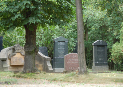 Jüdischer Friedhof / Židovský hřbitov