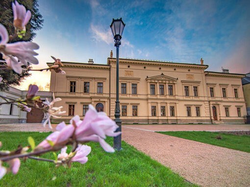 Palác Liebieg / Liebieg Palais
