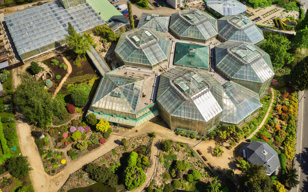 Botanická zahrada /  Botanischer Garten