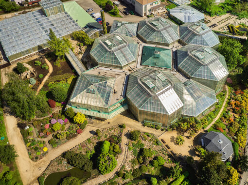Botanická zahrada /  Botanischer Garten