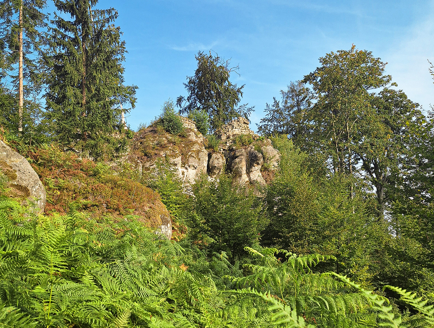Burg-Karlsfried_Steinzoo–Lückendorf